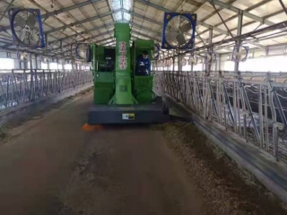 【學技術】巧用老土方治牛病有奇效！